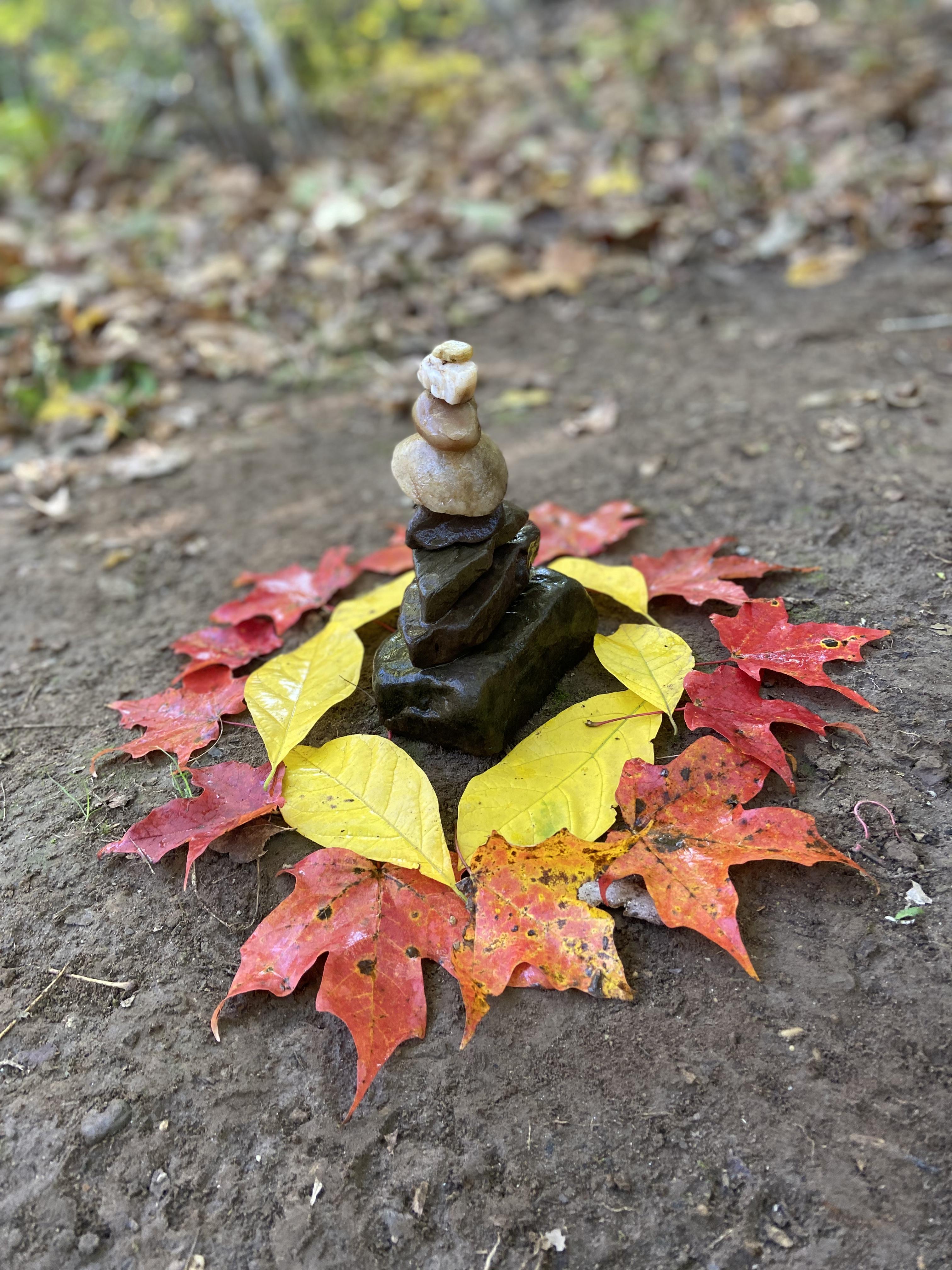 Middle School Art Explores Outdoors with Environmental Sculpture Project